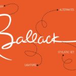 Beauty Signature Font Poster 4