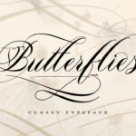 Butterflies Font Poster 1