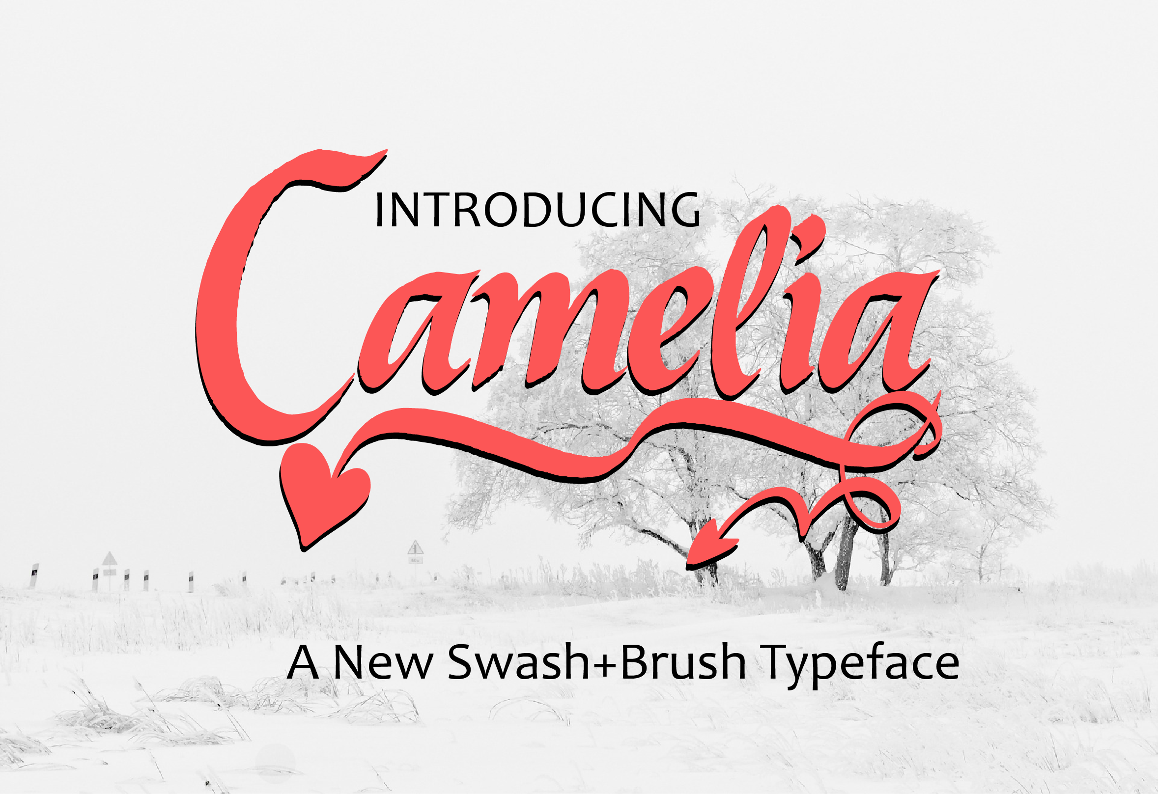 Camelia Font Poster 1