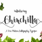 Chinchilla Font Poster 1