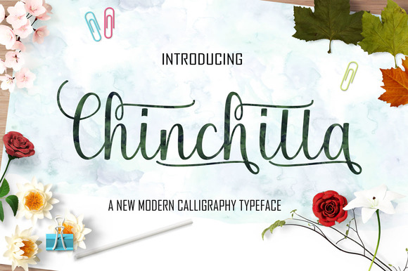 Chinchilla Font