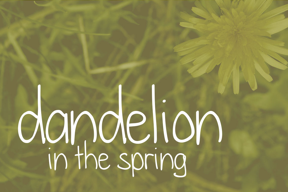 Dandelion in the Spring Font