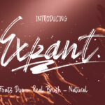 Expant Font Poster 1