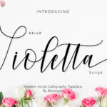 Hello Violetta Font Poster 8