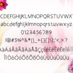 Magneline Font Poster 4