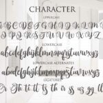 Monttassic Script Font Poster 4