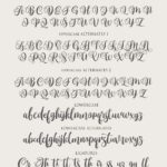 Monttassic Script Font Poster 7