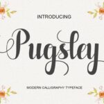 Pugsley Font Poster 1