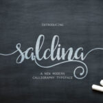 Saldina Font Poster 1