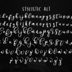 Salita Sketch Font Poster 8