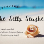 She Sells Seashells Font Poster 1