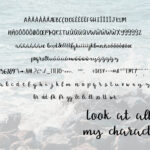 She Sells Seashells Font Poster 4