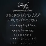 Sinyak Script Font Poster 8