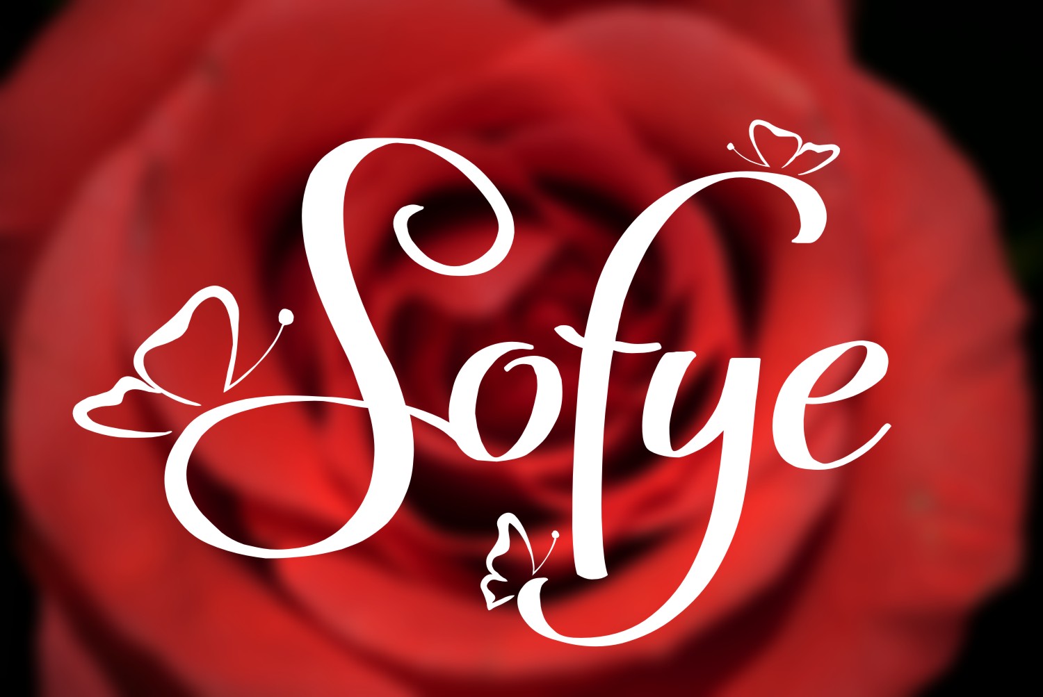 Sofye Font Poster 1