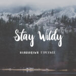 Stay Wildy Font Poster 1