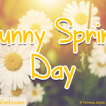 Sunny Spring Day Font Poster 1