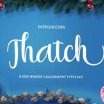 Thatch Font Poster 1