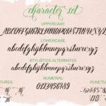 Thirteenth Script Font Poster 6