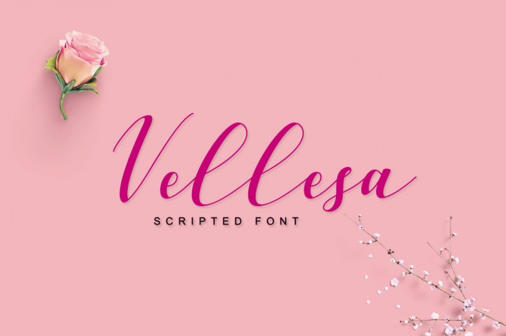 Vellesa Script Font