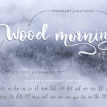 Winter Story Font Poster 4