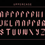 Black Phanter Font Poster 4