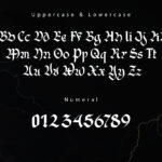 Black Rain Font Poster 5