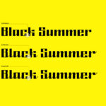 Black Summer Family Font Poster 4