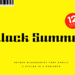 Black Summer Family Font Poster 1