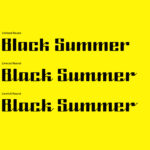 Black Summer Family Font Poster 5