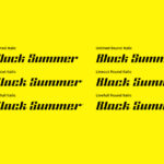 Black Summer Family Font Poster 6