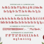 Blueming Font Poster 7