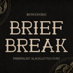 Brief Break Font Poster 3