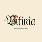 ED Vitinia Font Poster 3