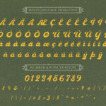 Ebullience Font Poster 9