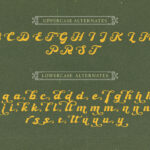 Ebullience Font Poster 10