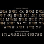 Geman Nier Font Poster 7