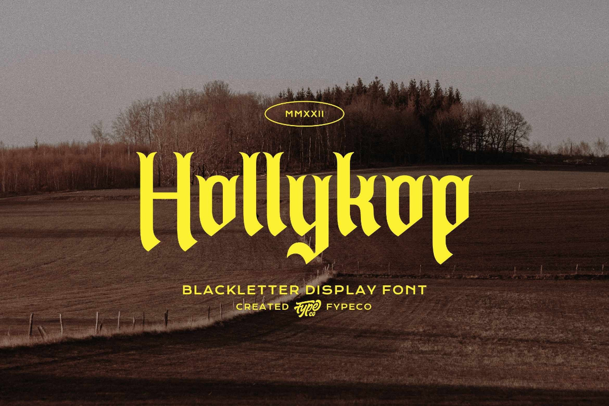 Hollykop Font Poster 1