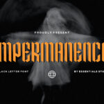 Impermanence Font Poster 3