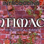 Intimacy Font Poster 3