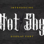 Not Shy Font Poster 3