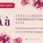 Reylith Font Poster 10