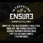 Ensure Font Poster 4