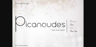 Picanoudes Font Poster 1