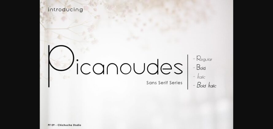 Picanoudes Font Poster 1