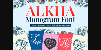 Alkha Font Poster 1