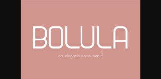 Bolula Font Poster 1