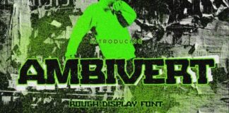 Ambivert Fonts