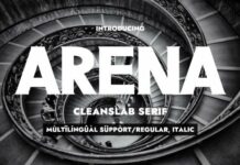 Arena Fonts