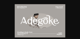 Adegoke Font Poster 1