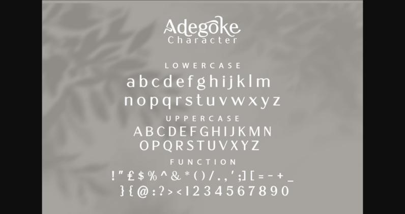 Adegoke Font Poster 9